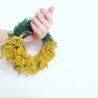 早春の Mimossa Wreath