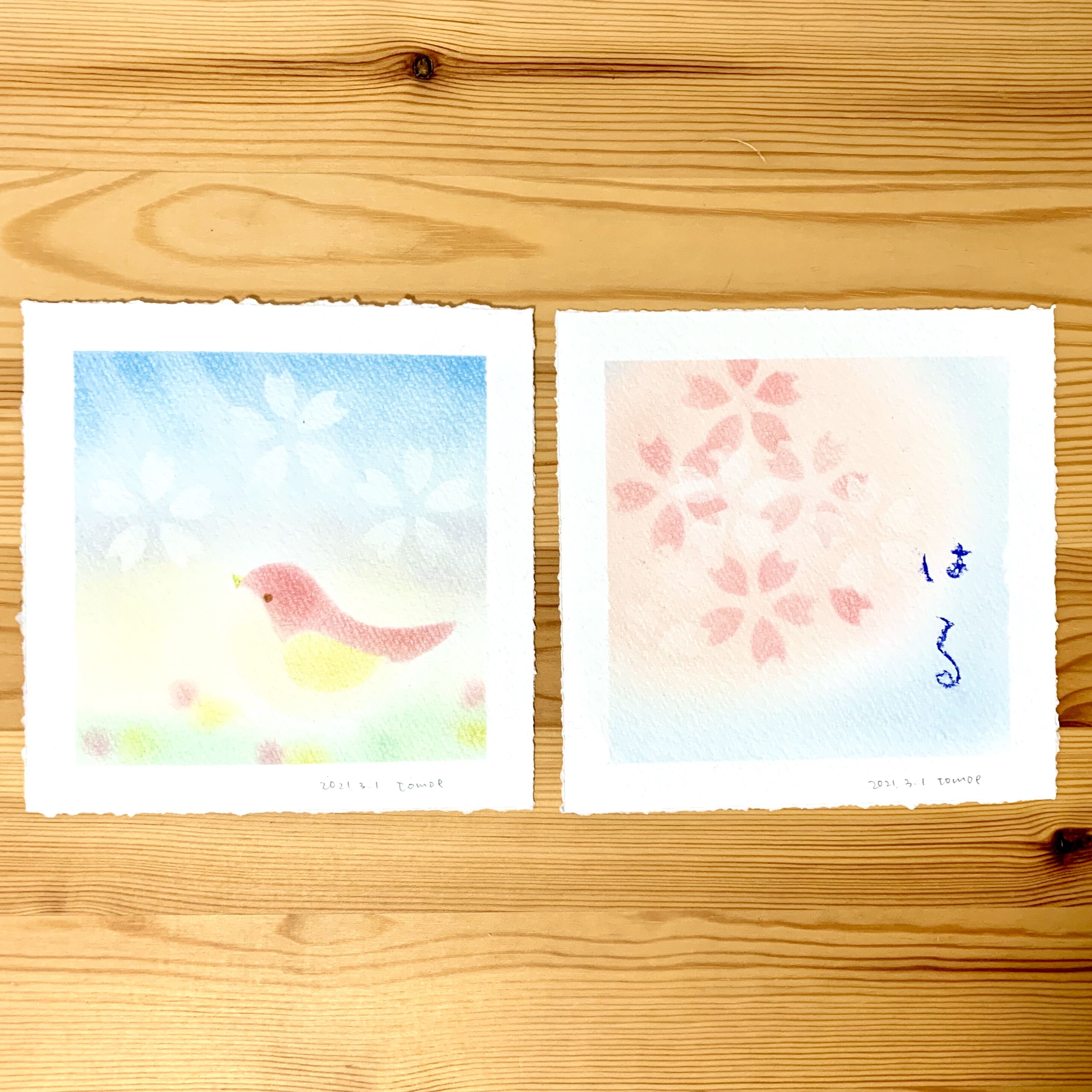 ＜季節のパステル＞3月：パステルシャインアートで「小鳥と桜」の絵を描こう！の写真3枚目