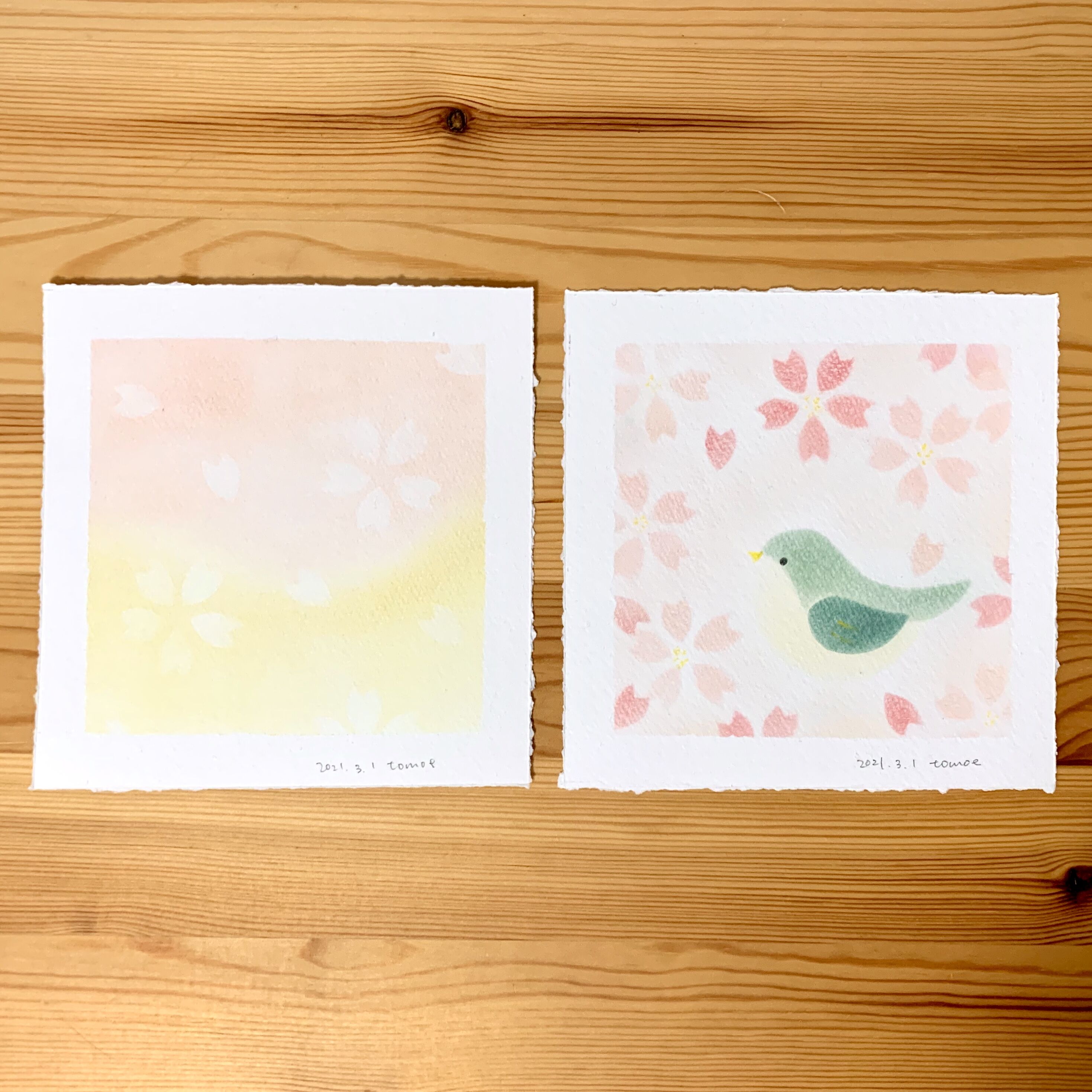 ＜季節のパステル＞3月：パステルシャインアートで「小鳥と桜」の絵を描こう！の写真2枚目