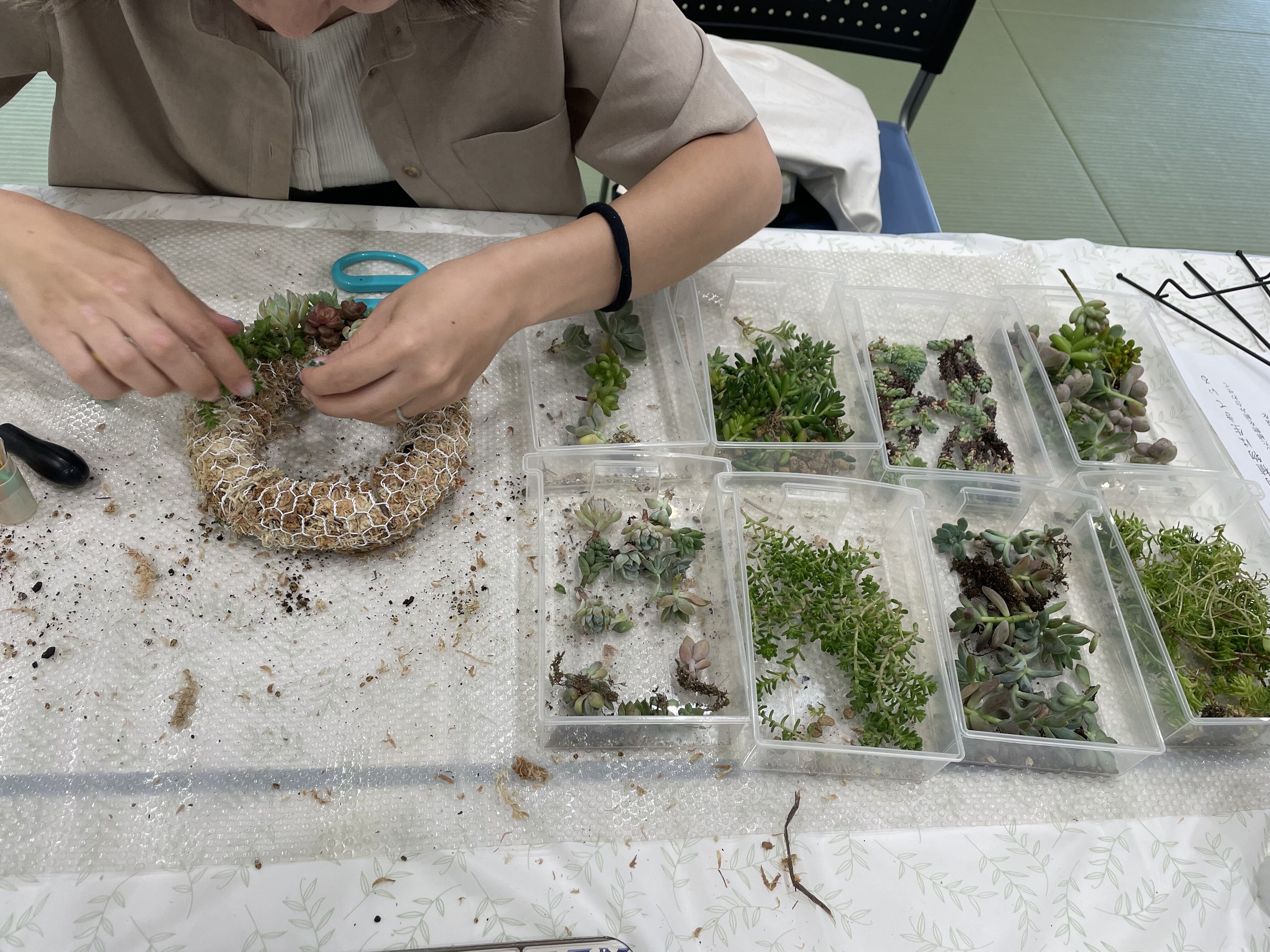 選べる多肉植物ワークショップ 〜ときめく寄せ植え＆リース作り〜の写真4枚目
