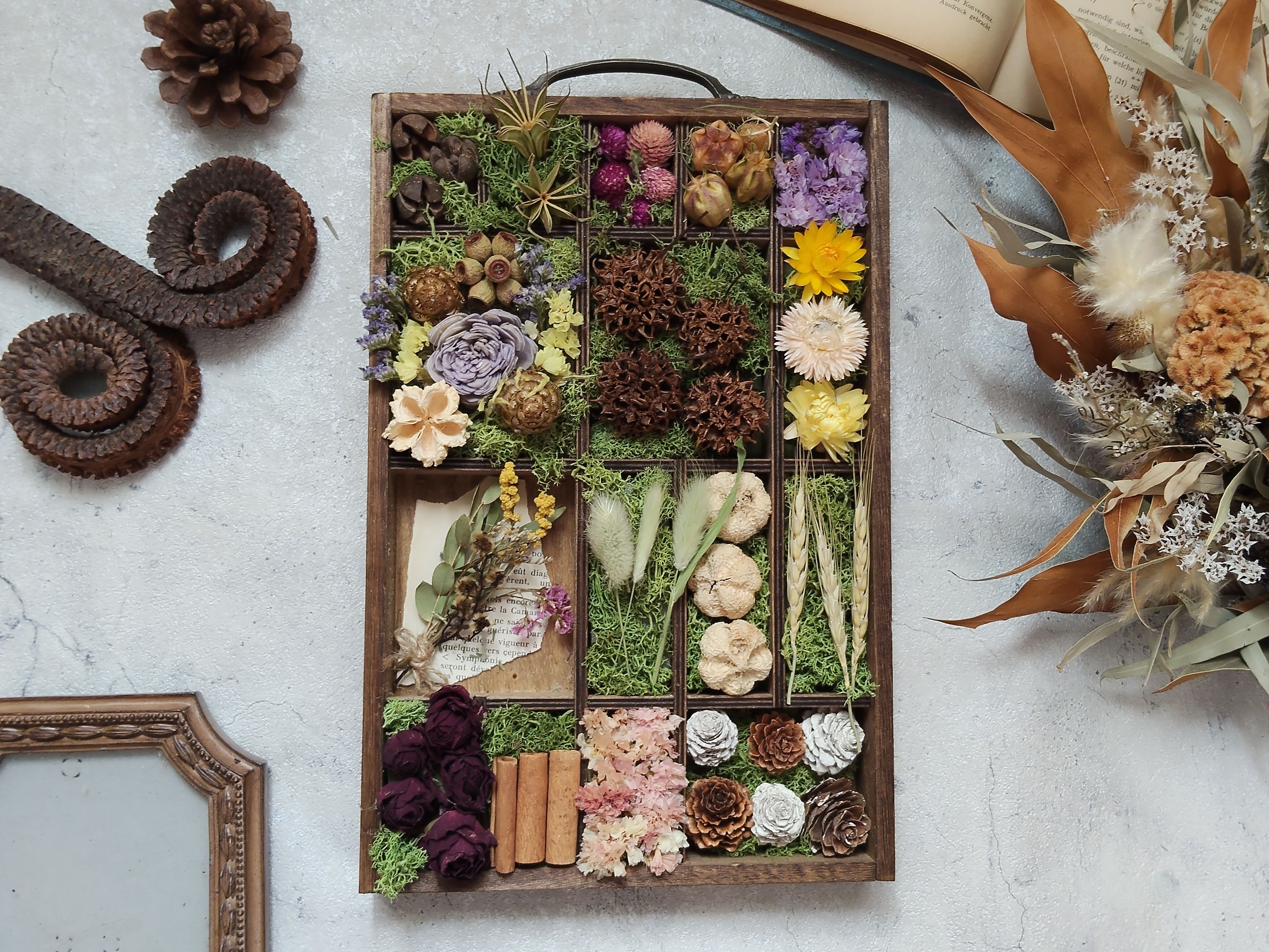 プリンタートレイの植物標本アレンジ(花リセット教室）の写真