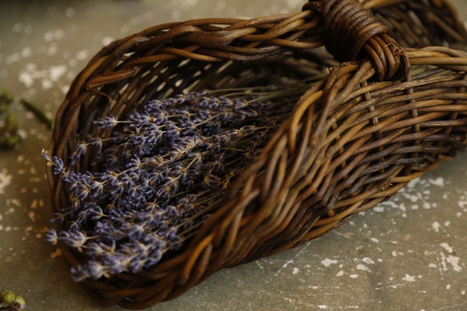 つる・籐で編む かご編みの写真