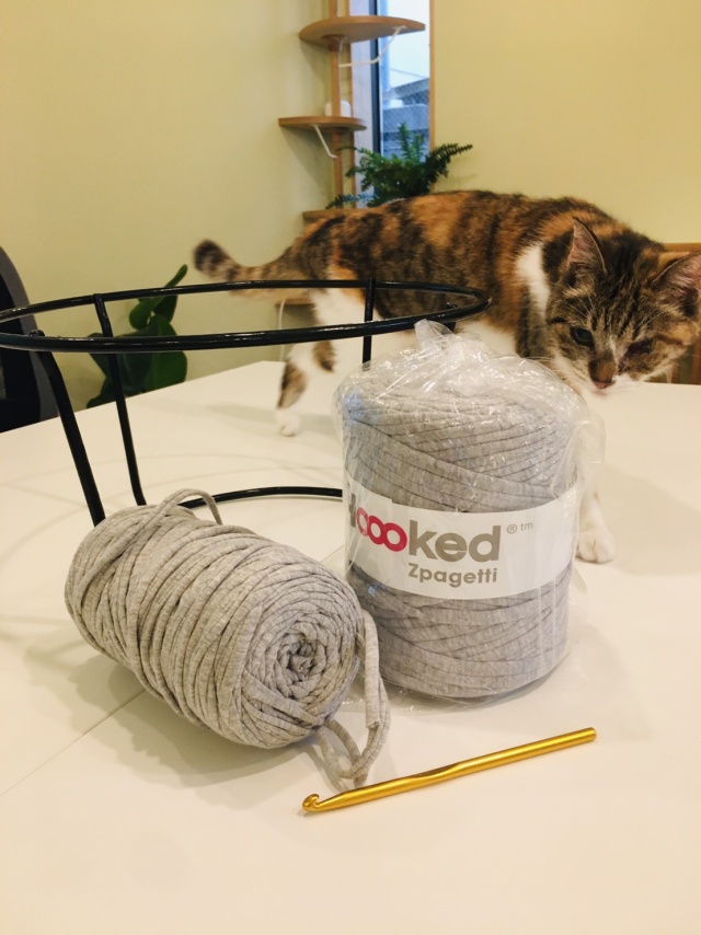 猫のための編み物教室『猫草』の当日の流れ・雰囲気の写真1枚目