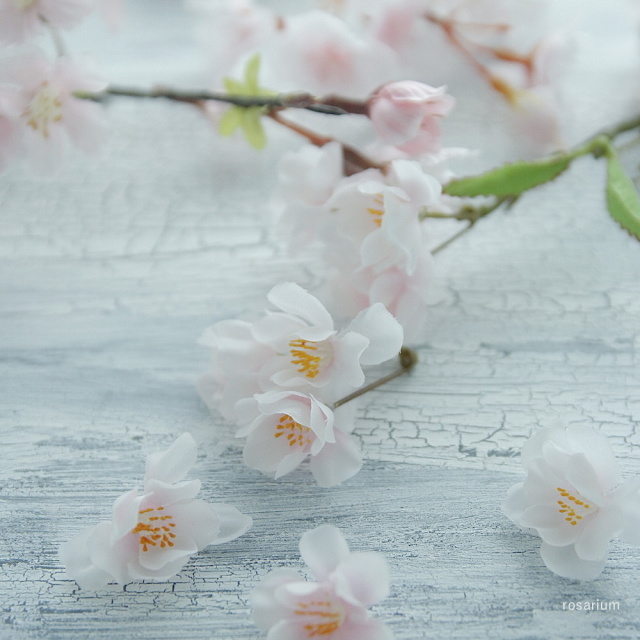 香る桜のトピアリーの当日の流れ・雰囲気の写真3枚目