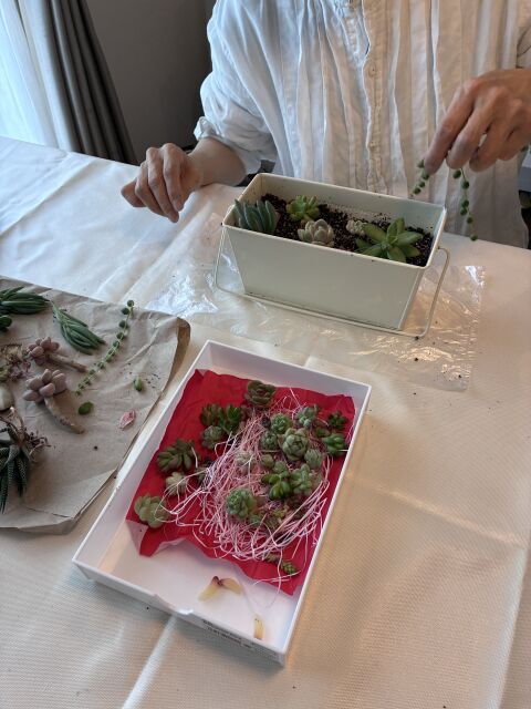 選べる多肉植物ワークショップ 〜ときめく寄せ植え＆リース作り〜の当日の流れ・雰囲気の写真4枚目