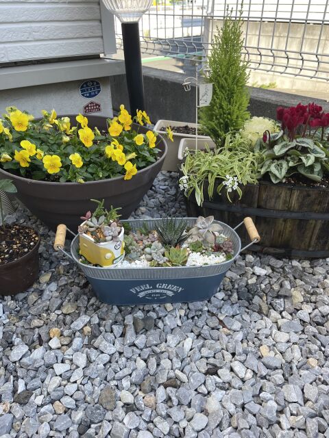 選べる多肉植物ワークショップ 〜ときめく寄せ植え＆リース作り〜の当日の流れ・雰囲気の写真7枚目