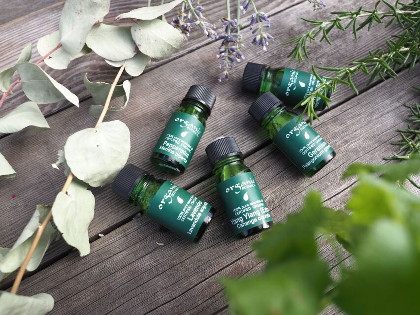 気分リフレッシュ♪ミニアロマリードディフューザー作りの当日の流れ・雰囲気の写真1枚目