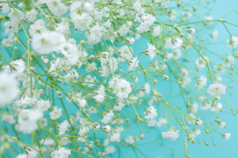 簡単で楽しいフラワーアレンジメント体験 　〜ニュアンスカラーのあじさいリース〜の当日の流れ・雰囲気の写真1枚目