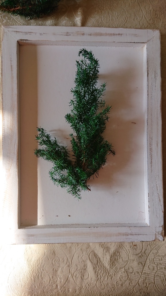 フレームに本物のクリスマスツリーを作成し飾りましょうの当日の流れ・雰囲気の写真1枚目