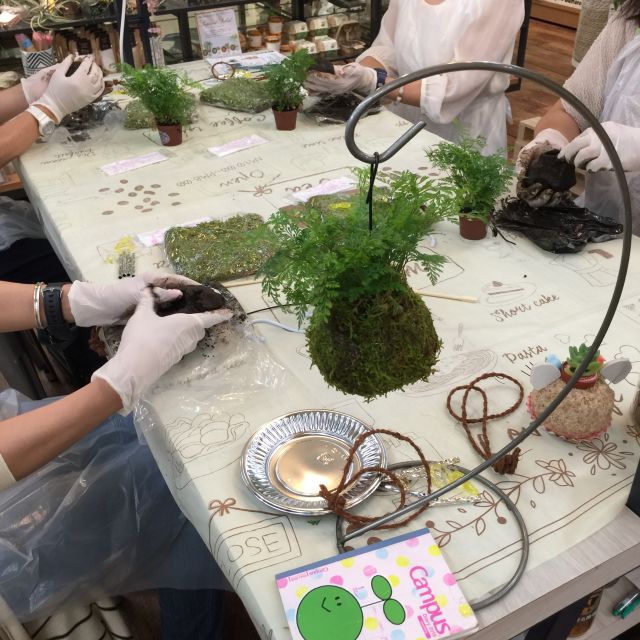 緑の苔玉ワークショップの当日の流れ・雰囲気の写真1枚目