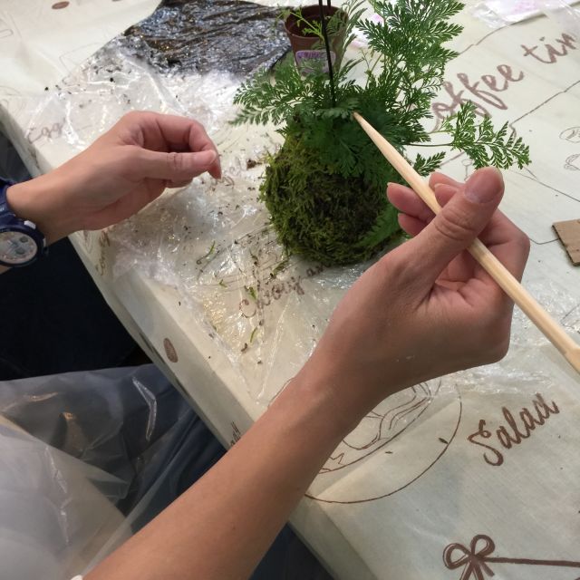 緑の苔玉ワークショップの当日の流れ・雰囲気の写真2枚目