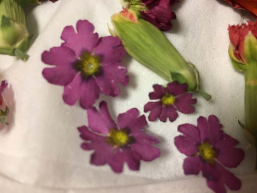 押し花で作るブローチまたはヘアゴムの当日の流れ・雰囲気の写真1枚目